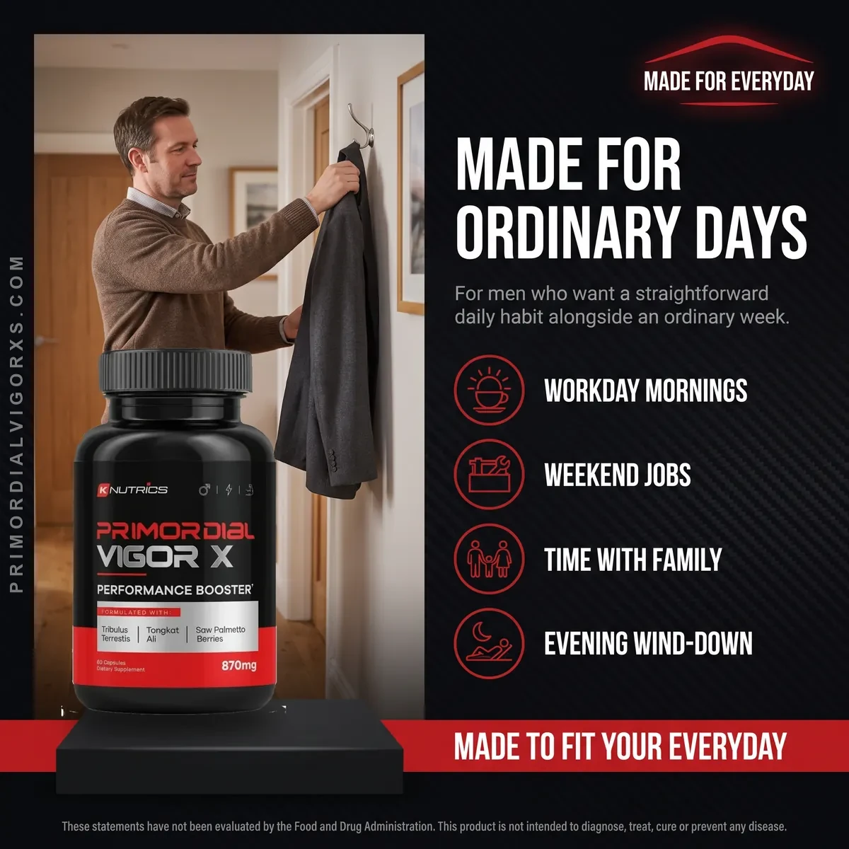 Who Primordial Vigor X is for: adult men who want a simple daily vitality habit for work, training and everyday energy